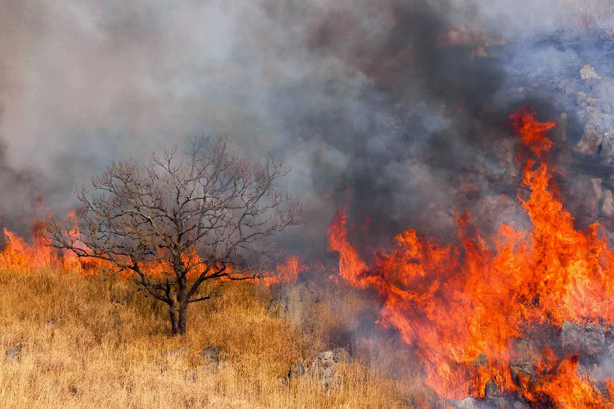 山火事のイメージ