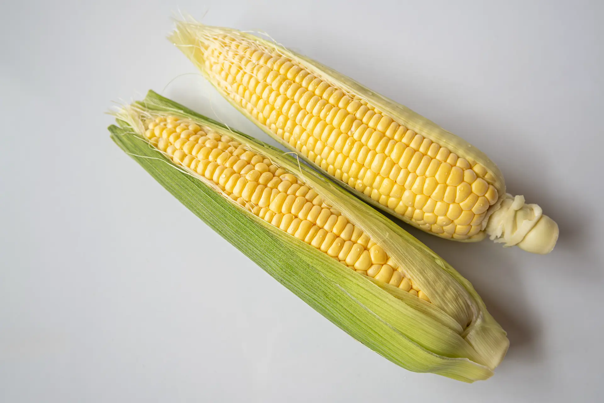 Vol. 28 とうもろこしの歴史と現在を探る - VASU Japan