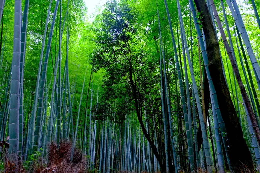 温室効果ガス削減のイメージ