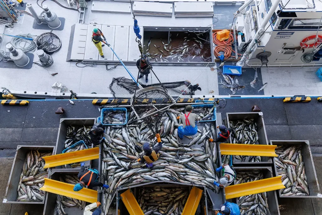 漁業のイメージ