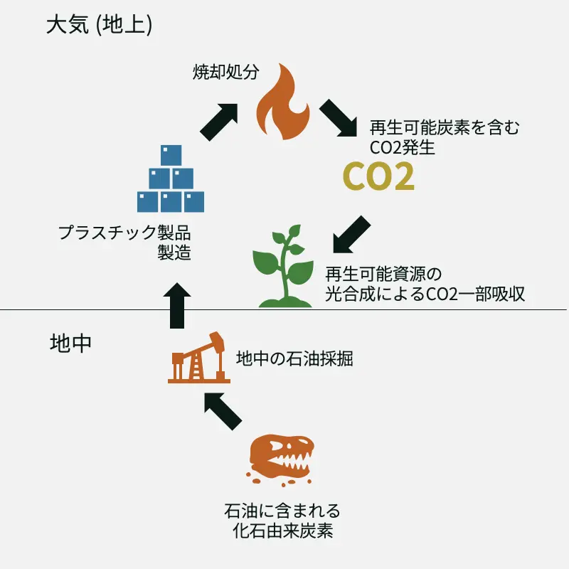 化石由来炭素の解説