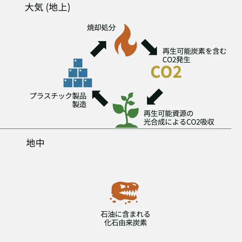 再生可能炭素の解説