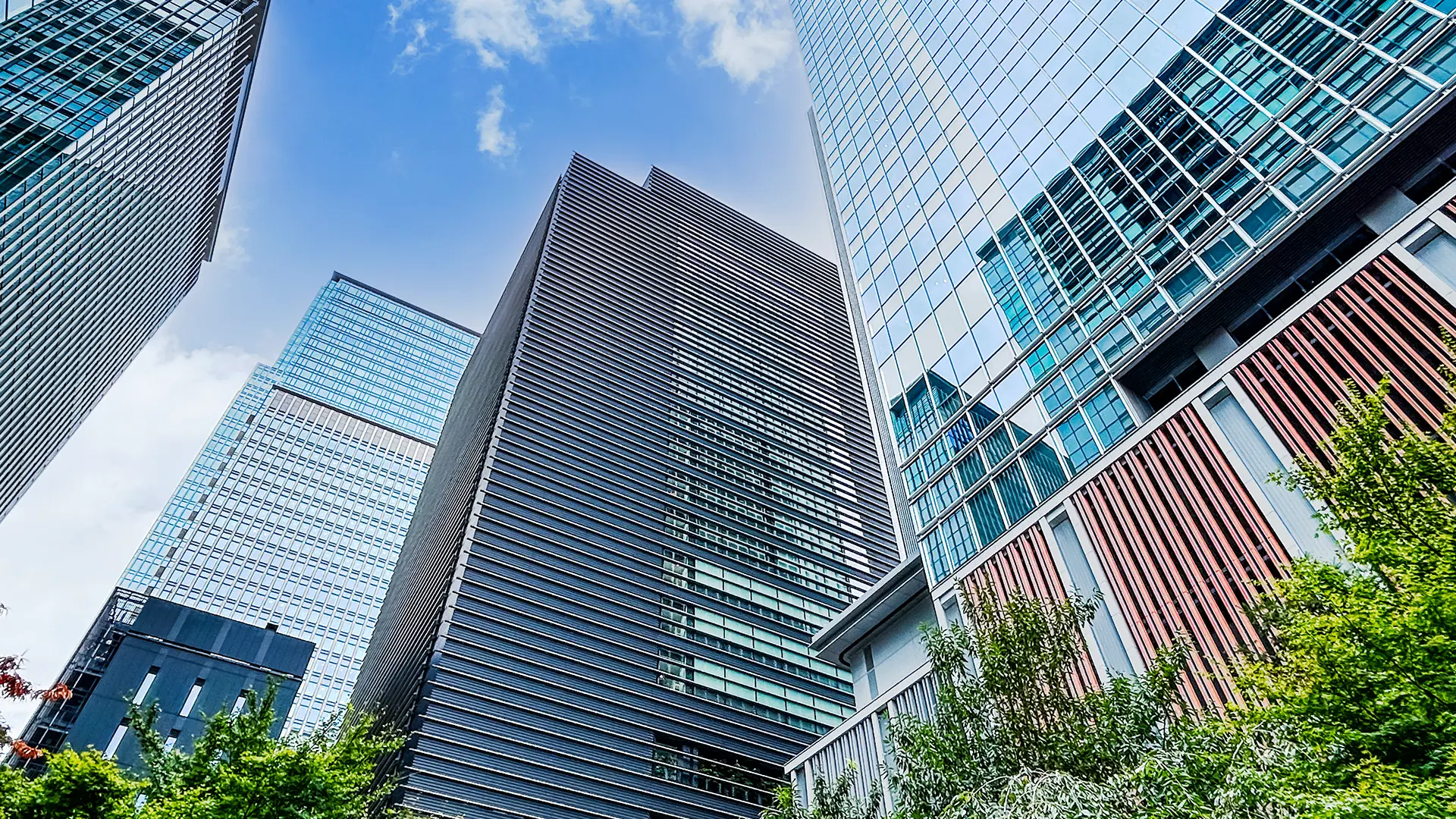 大企業